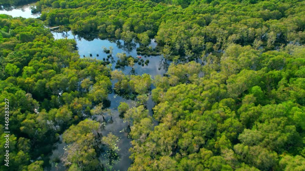 4K aerial view from a drone. wetlands with various trees represent the integrity of the forest. beautiful scenery of rayong Botanical Garden, Thailand
4K aerial view from a drone. wetlands with various trees represent the integrity of the forest. beautiful scenery of rayong Botanical Garden, Thailand