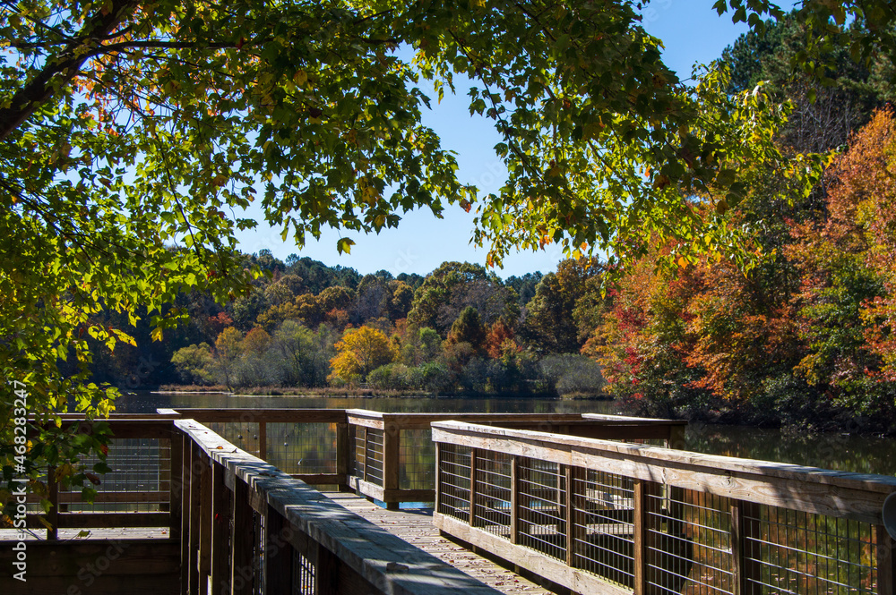 Autumn in Little Mulberry Park, GA