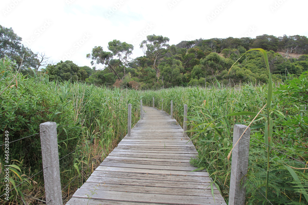 Scenic view of Tower Hill Wildlife Reserve