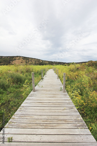 Wallpaper Mural Scenic view of Tower Hill Wildlife Reserve Torontodigital.ca