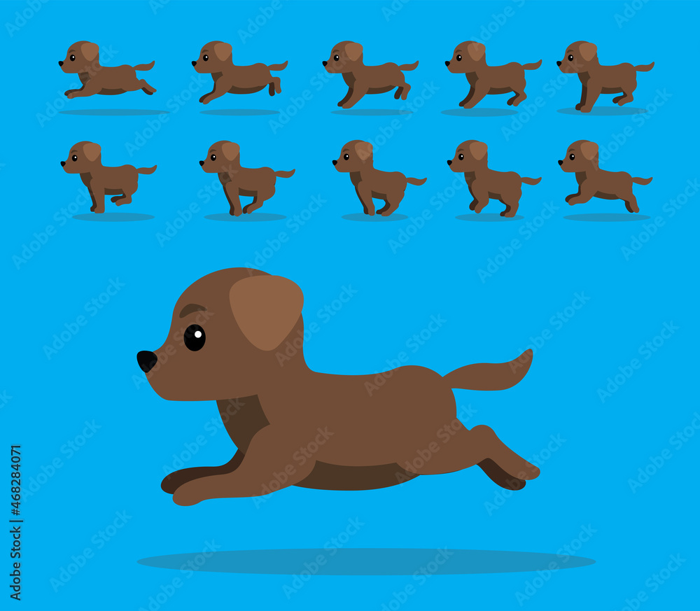 Animal Animation Sequence Dog Labrador Retriever Cartoon Vector Brown Coat