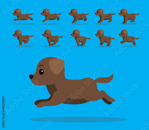 Animal Animation Sequence Dog Labrador Retriever Cartoon Vector Brown Coat