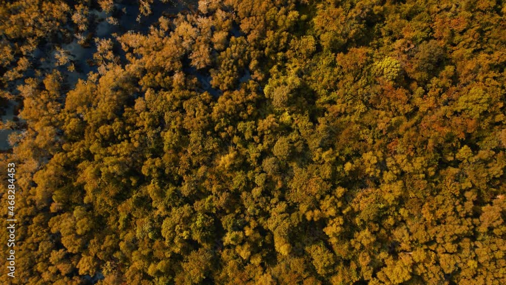 4K aerial view from a drone. wetlands with various trees represent the integrity of the forest. beautiful scenery of rayong Botanical Garden, Thailand
4K aerial view from a drone. wetlands with various trees represent the integrity of the forest. beautiful scenery of rayong Botanical Garden, Thailand