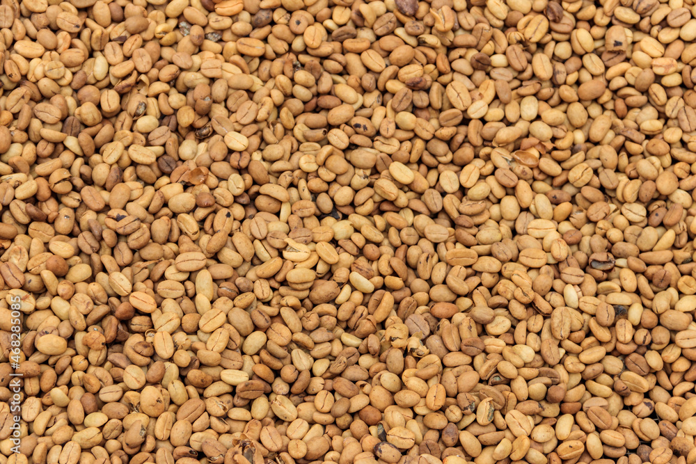 Background of the raw coffee beans Background of the raw coffee beans