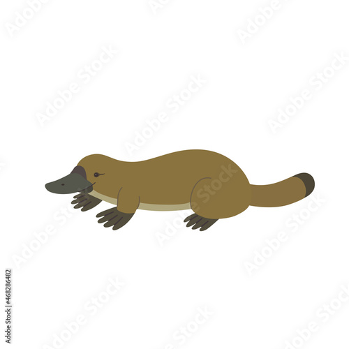 Cute cartoon platypus isolated on white background.