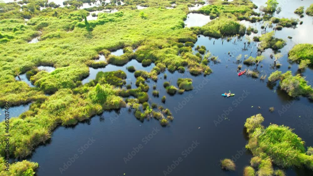 4K aerial view from a drone, people kayaking in the wetlands The abundance of various plants. beautiful scenery of rayong Botanical Garden, Thailand
4K aerial view from a drone, people kayaking in the wetlands The abundance of various plants. beautiful scenery of rayong Botanical Garden, Thailand