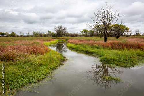 Kansas Landscape