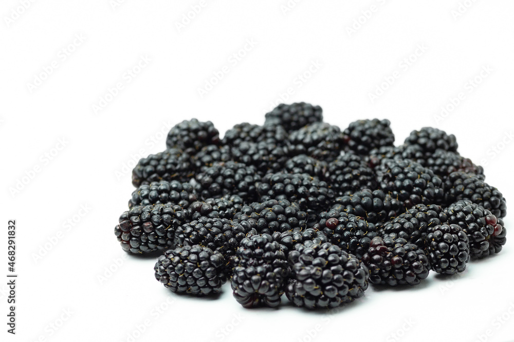 blackberry on white background blackberry on white background