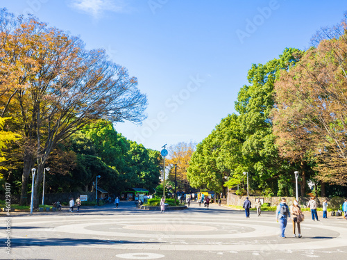 代々木公園 原宿門