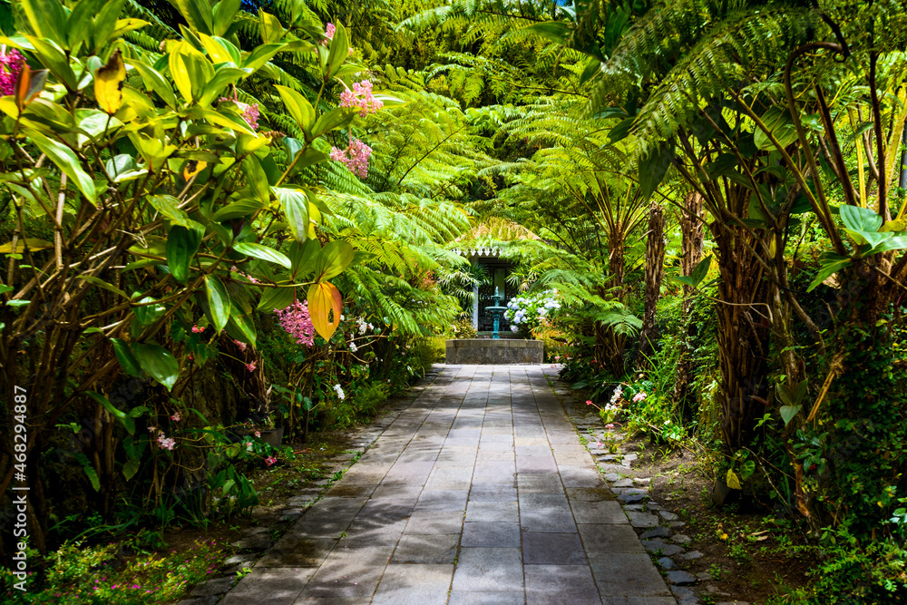 Botanical garden La Maison Folio, Salazie, Reunion Island - obrazy, fototapety, plakaty 