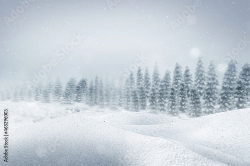 Snowy fir trees © Leo Lintang