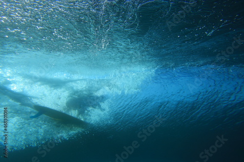 underwater view of a surfing riding a wave in clear water © Neil