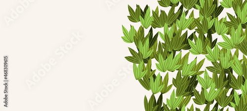 Floral web banner with drawn color exotic leaves. Nature concept design. Modern floral compositions with summer branches. Vector illustration on the theme of ecology, natura, environment