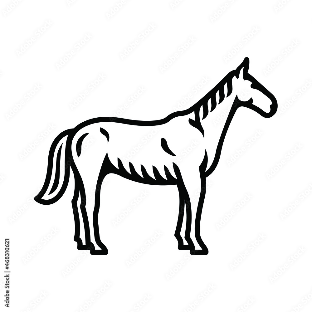 Horse icon. Black line vector isolated icon on white background. Vintage style.