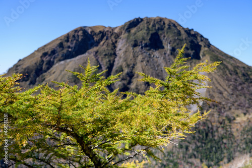 五色山から見た日光白根山と紅葉したカラマツ