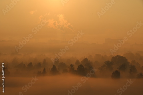 Enchanted autumn trees in fog in the morning. Landscape with trees, colorful orange and fog. Nature background.