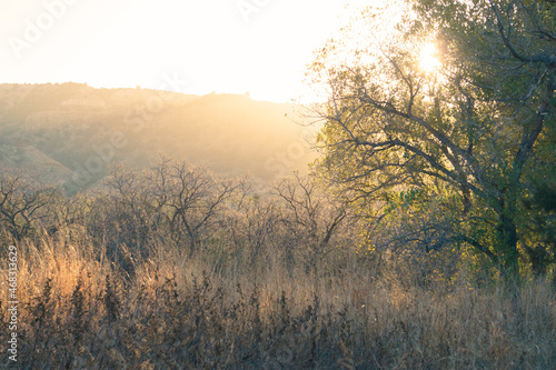 misty morning sunrise