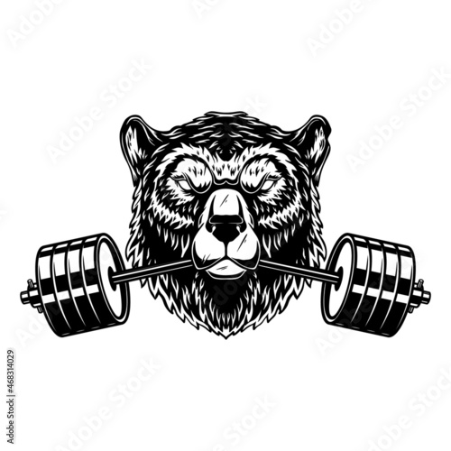 Grizzly bear with gym barbell in mouth. Design element for logo, emblem, sign, poster, t shirt. Vector illustration