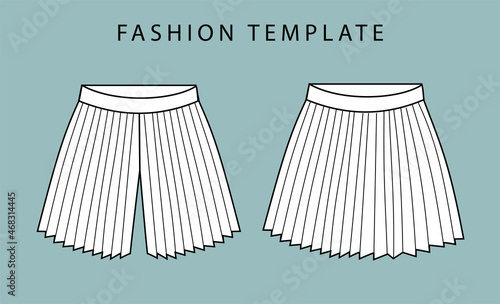 pleated skirt.  fashion flat sketch template