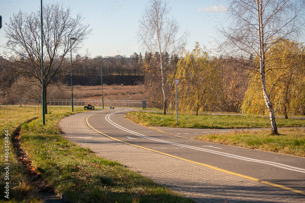 Fototapeta premium road in the autumn