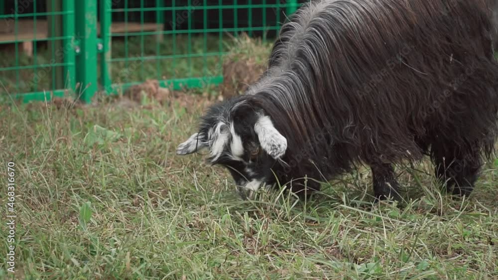 Landscape features of urban parks in Chengdu City, China