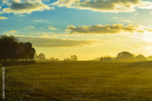 sunset over the field