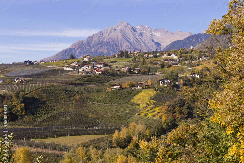 Blick vom Schennaberg auf Dorf Tirol im Vinschgau