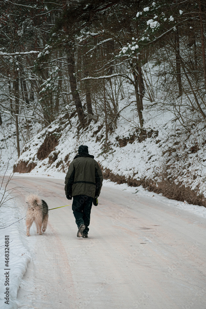Snowstorm on the road in a forest. Old man with a fluffy dog walking in snowy woods of Lithuania in January. Selective focus on the animal, blurred background. Snowstorm on the road in a forest. Old man with a fluffy dog walking in snowy woods of Lithuania in January. Selective focus on the animal, blurred background.