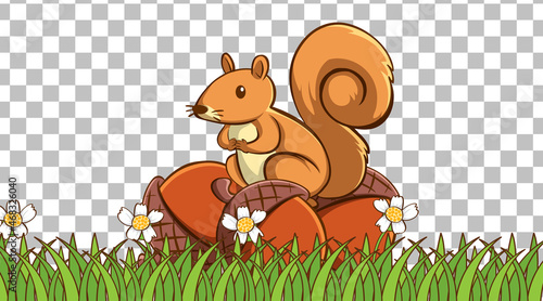 Squirrel standing on the grass field on transparent background