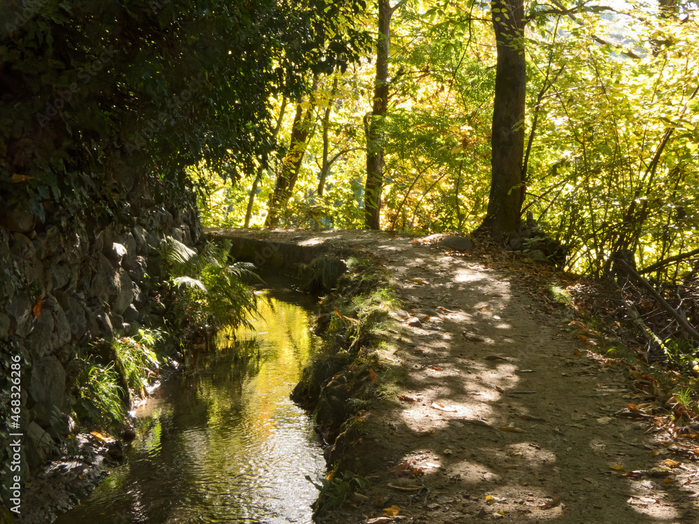 wandern am Waalweg im Vinschau (Südtirol) wandern am Waalweg im Vinschau (Südtirol)