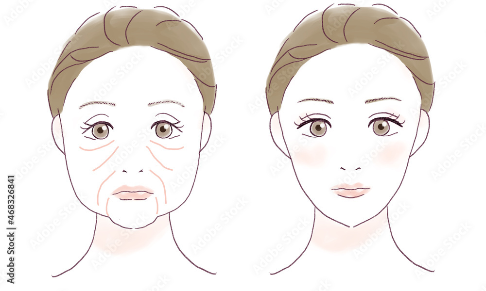 女性の比較イラスト