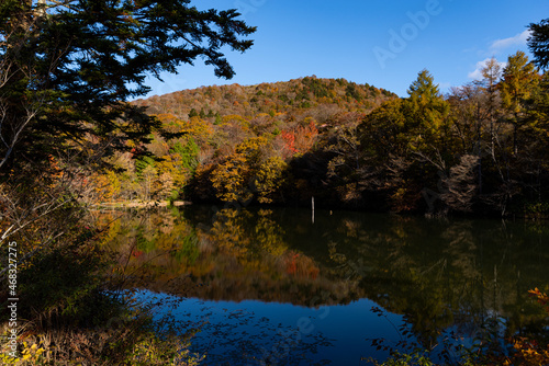 秋の芹沼池 茶臼山高原