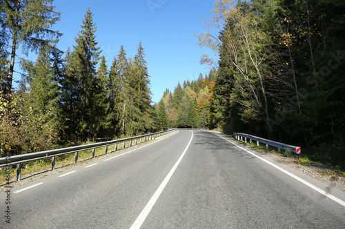 Asphalt road surrounded by forest on sunny day