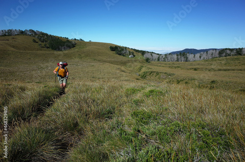 Man tourist hiking on grassy terrain beautiful hilly landscape in Puyehue National Park, Los Lagos Region, Outdoor activity in Chile