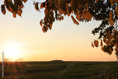 Picturesque view of beautiful countryside field at sunset