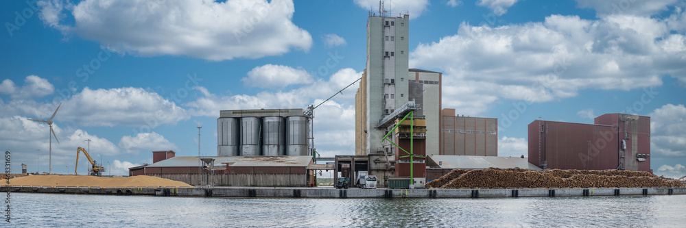 Panorama of wood processing factory with machines and trucks