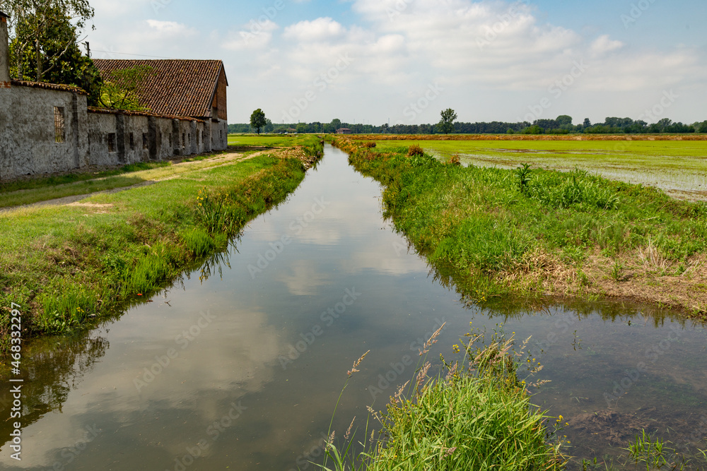 Fototapeta premium Lomellina con Cascinale