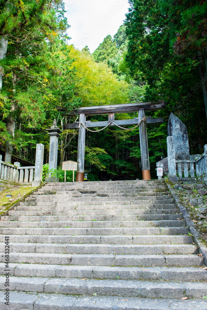 戸隠神社宝光社　大鳥居