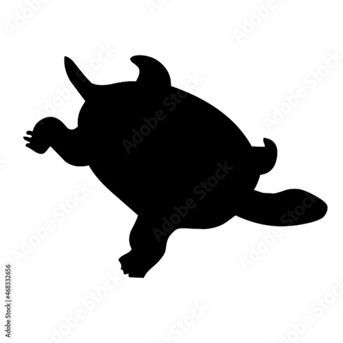 turtle wild animals reptile 