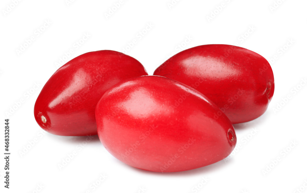 Fresh ripe dogwood berries on white background Fresh ripe dogwood berries on white background