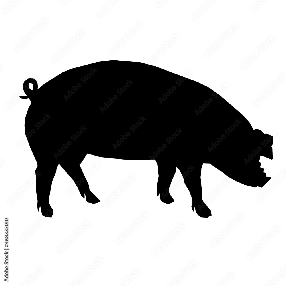 pig animals wild pig animals wild