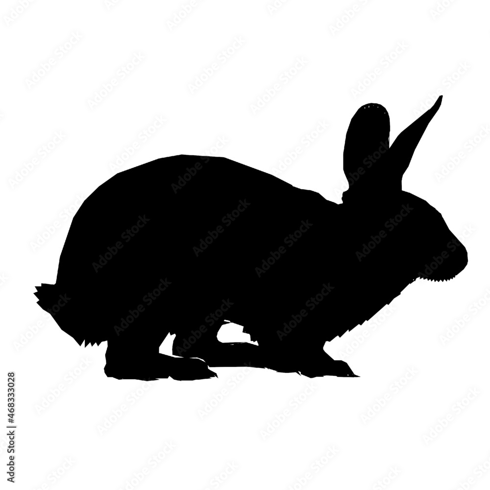 rabbit wild animals rabbit wild animals