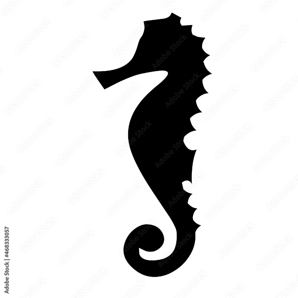 Fototapeta premium sea horse