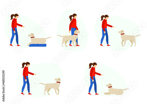 Training, dog training. Vector image