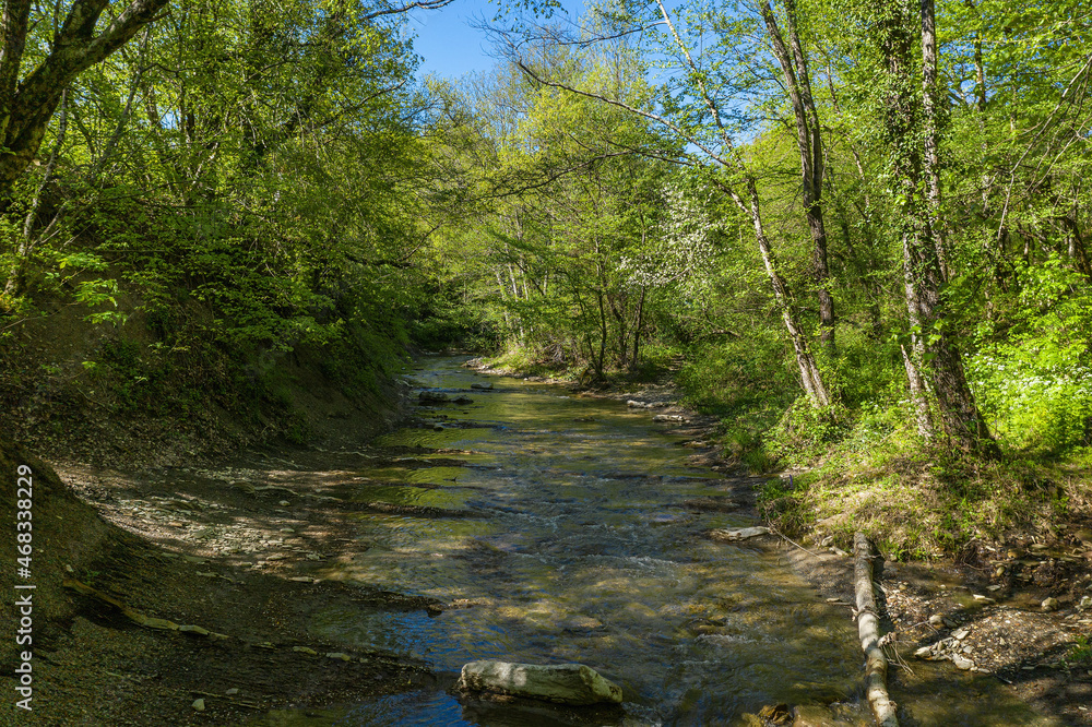 The North Caucasus. Mountain river Zhane in the springtime. Aerial view. The North Caucasus. Mountain river Zhane in the springtime. Aerial view.