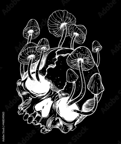 Overgrown skull. Mushrooms. Death - Life