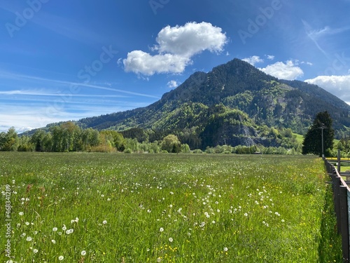 meadow and mountains