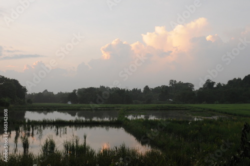 Sunset over Green rice field full of water in valley in Northern Thailand