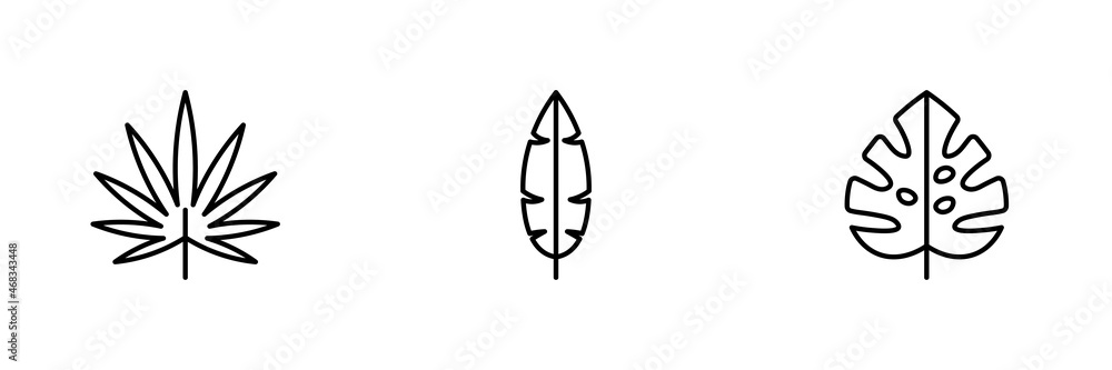 Set of 3 leaves icons on white background.