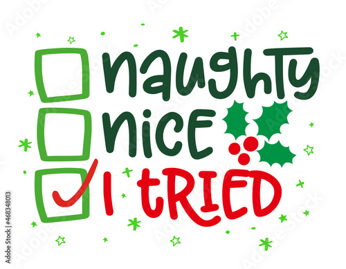 Naughty, nice, I tried - Funny calligraphy phrase for Christmas. Hand drawn lettering for Xmas greetings cards, invitations. Good for t-shirt, mug, gift, printing press. Holiday quotes.
